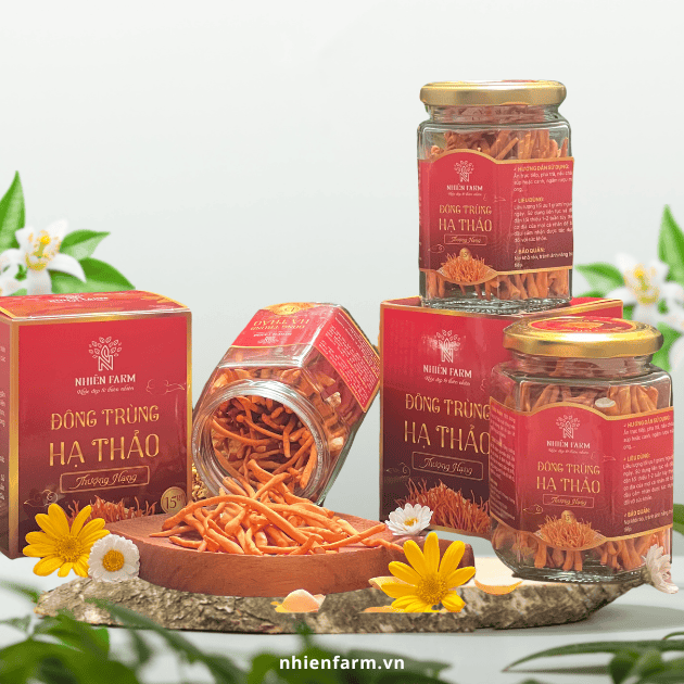 Đông trùng hạ thảo sấy thăng hoa (10g)